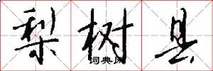 梨树县