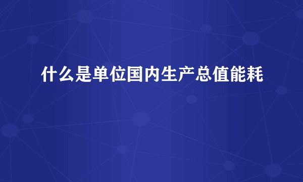 什么是单位国内生产总值能耗