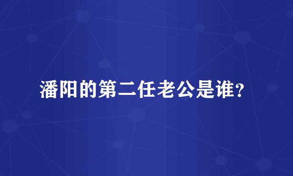 潘阳的第二任老公是谁?