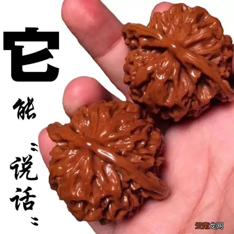 什么是麻核桃