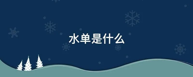 水单是什么