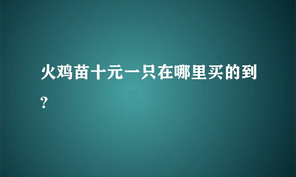 火鸡苗十元一只在哪里买的到？