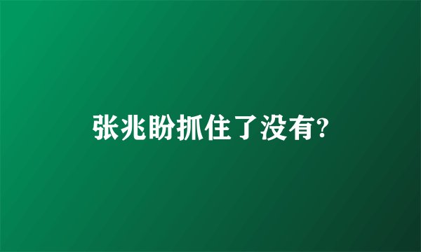张兆盼抓住了没有?