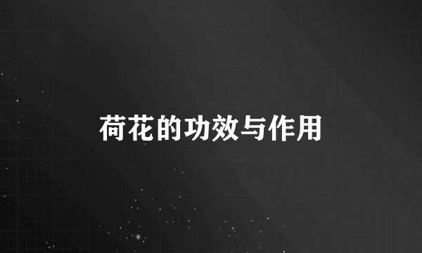 荷花的功效与作用