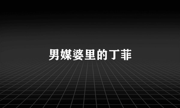 男媒婆里的丁菲