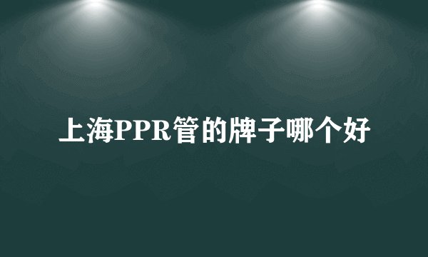 上海PPR管的牌子哪个好