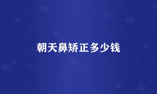 朝天鼻矫正多少钱