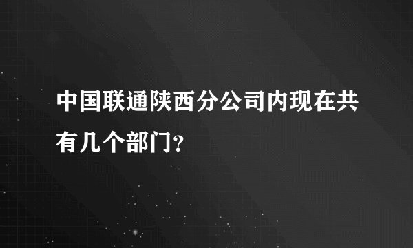 中国联通陕西分公司内现在共有几个部门？