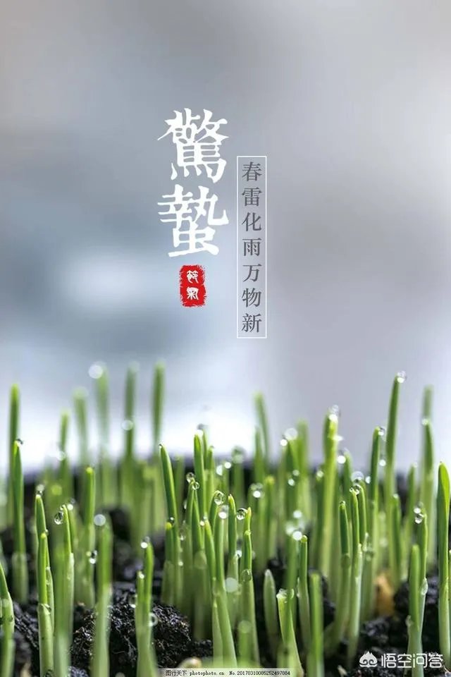惊蛰是什么意思？
