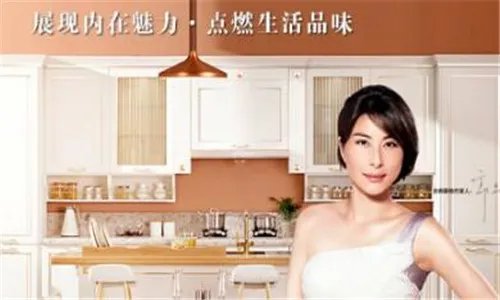 2018整体橱柜加盟品牌排行   整体橱柜哪个牌子好