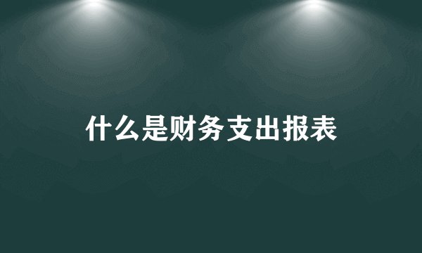 什么是财务支出报表