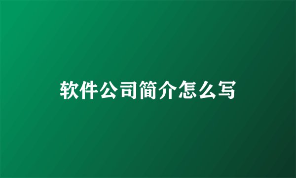 软件公司简介怎么写
