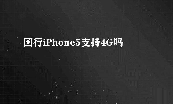 国行iPhone5支持4G吗