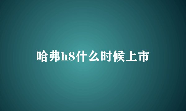 哈弗h8什么时候上市