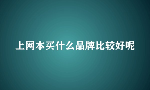 上网本买什么品牌比较好呢