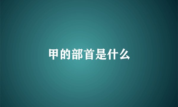 甲的部首是什么