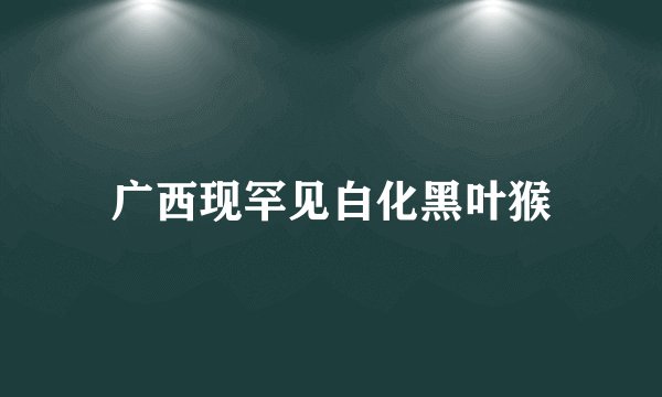 广西现罕见白化黑叶猴