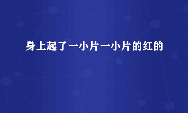 身上起了一小片一小片的红的