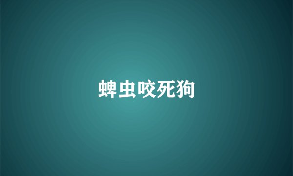 蜱虫咬死狗