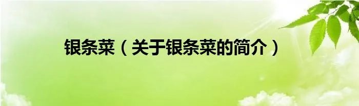 银条菜（关于银条菜的简介）