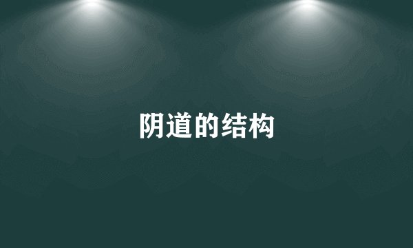阴道的结构