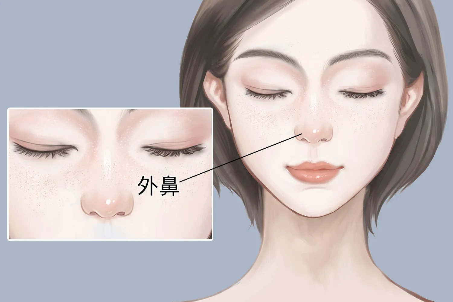 鼻子形状及图片大全