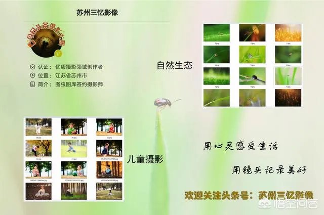 阴雨天如何拍出好照片？