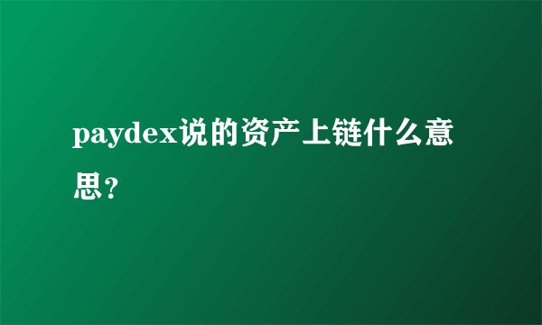 paydex说的资产上链什么意思?