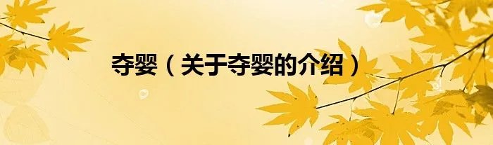 夺婴（关于夺婴的介绍）