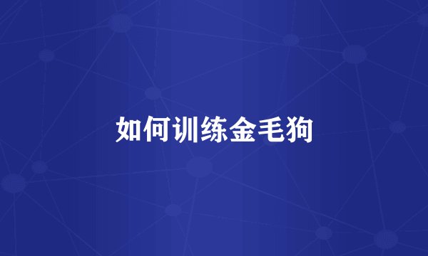 如何训练金毛狗