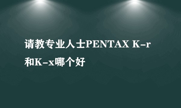 请教专业人士PENTAX K-r和K-x哪个好
