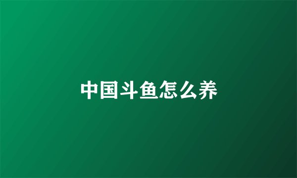 中国斗鱼怎么养