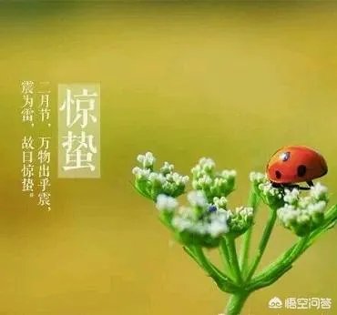 惊蛰是什么意思？