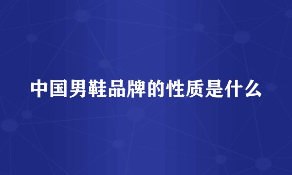 中国男鞋品牌的性质是什么