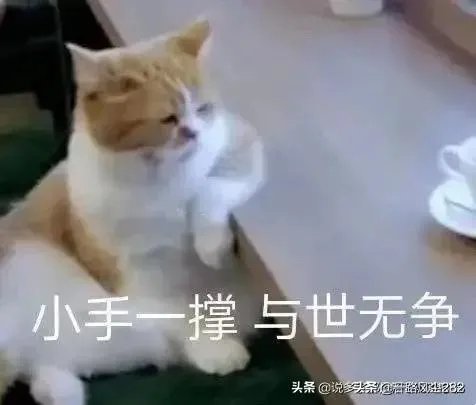 伊朗空难会不会是未遂的“9·11事件”?