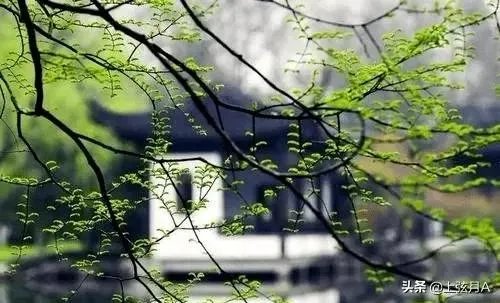 明天立春,你知道立春有哪些忌讳吗?