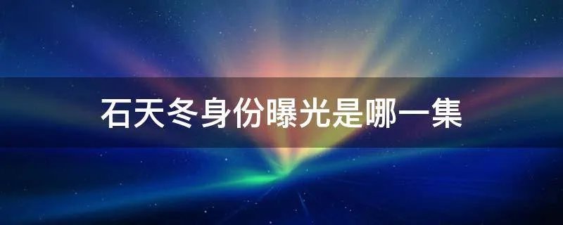 石天冬身份曝光是哪一集