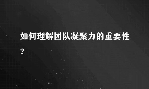 如何理解团队凝聚力的重要性？