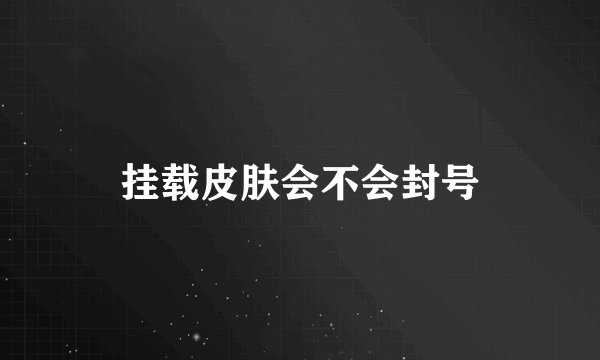 挂载皮肤会不会封号