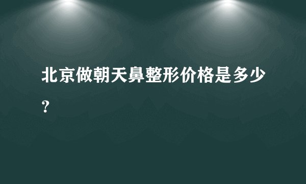 北京做朝天鼻整形价格是多少？