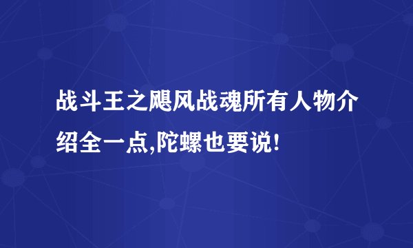 战斗王之飓风战魂所有人物介绍全一点,陀螺也要说!