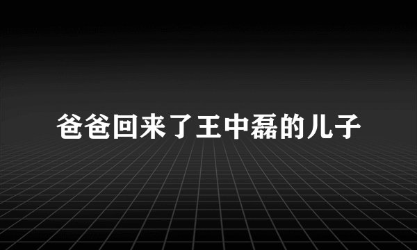爸爸回来了王中磊的儿子