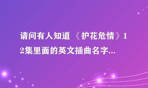 请问有人知道 《护花危情》12集里面的英文插曲名字吗？ 谢谢