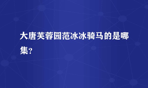 大唐芙蓉园范冰冰骑马的是哪集？