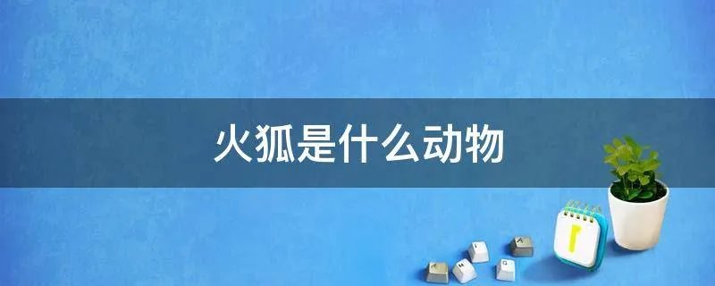 火狐是什么动物