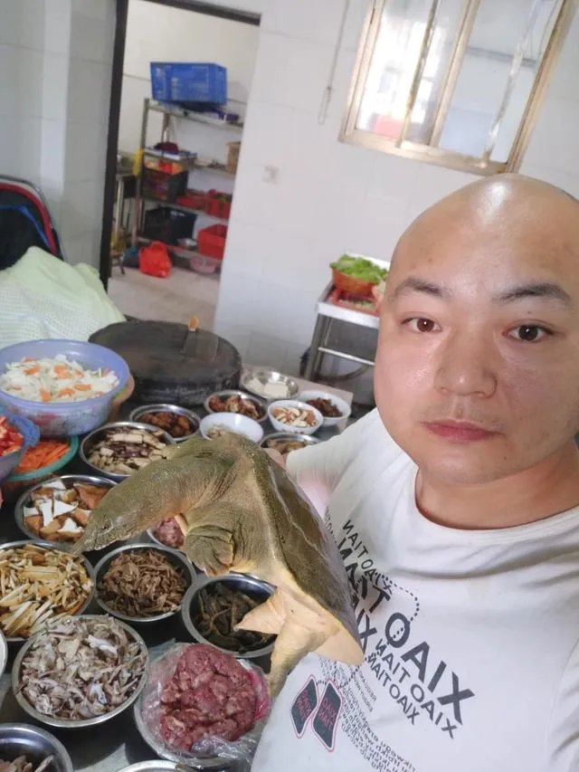 餐饮巨头金钱豹倒闭,俏江南转型做外卖、西贝莜面村做快餐,大家怎么看?