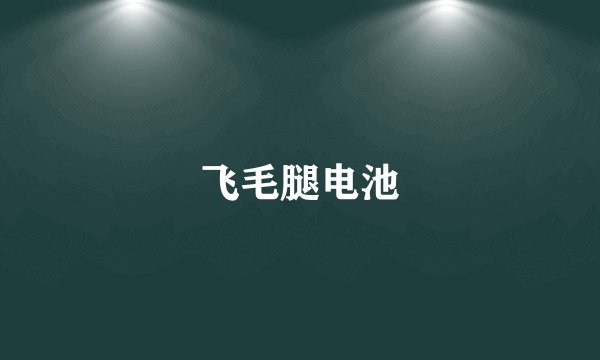 飞毛腿电池