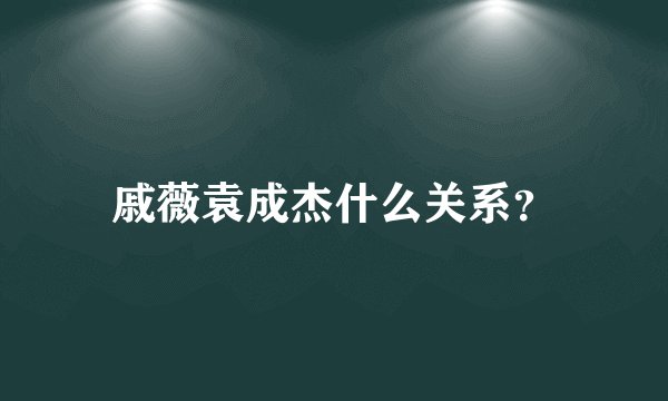 戚薇袁成杰什么关系？