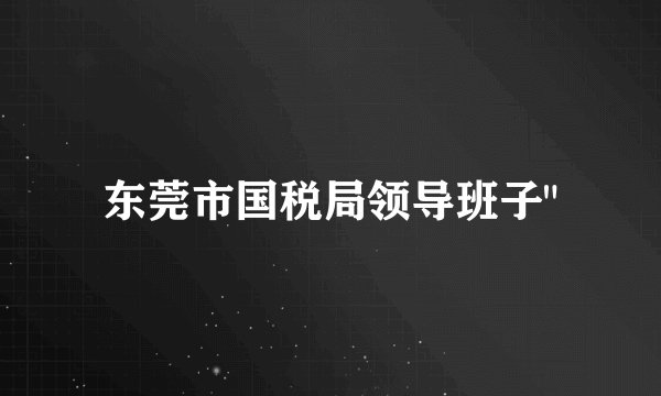 东莞市国税局领导班子