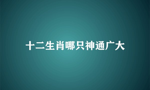 十二生肖哪只神通广大